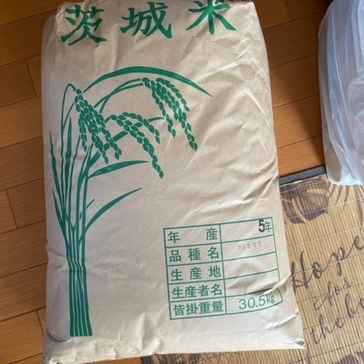 令和5年度新米コシヒカリ30.5㌔!!