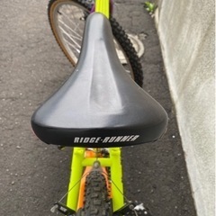 ミヤタリッジランナー
