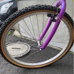 ミヤタリッジランナー
