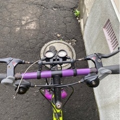 ミヤタリッジランナー
