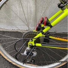 ミヤタリッジランナー
