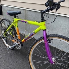 ミヤタリッジランナー
