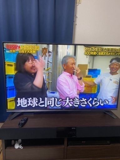 家電 テレビ 液晶テレビ55インチ\n