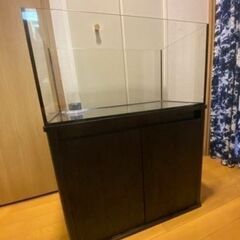 60サイズ　海水水槽セット　オーバーフロー