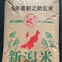 5年産新潟県産新之助玄米1等30kg