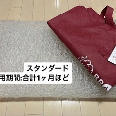 ブレインスリープピロー STANDARD