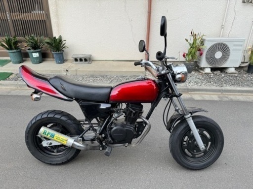 エイプ50 検索　原付　ape シャリー　モンキー　dio zx jog ns1ダックス　ゴリラ