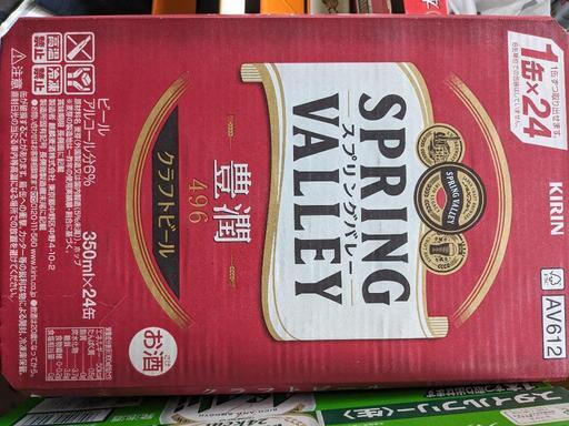 スプリングバレー SPRING VALLEY 豊潤 496 350ml 1箱+10本 キリンビール
