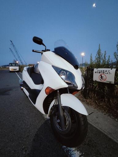 FORZA Z MF10白