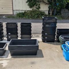 メダカ飼育容器になります。