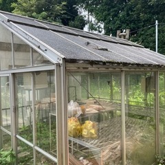 【取引中】温室　生活雑貨 家庭用品 ガーデニング