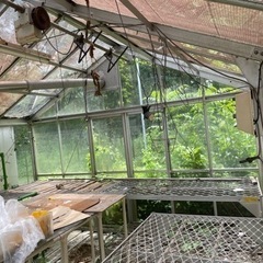 【取引中】温室　生活雑貨 家庭用品 ガーデニング