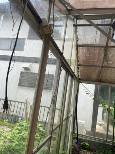 取引中】温室 生活雑貨 家庭用品 ガーデニング - ガーデニング 