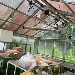 【取引中】温室　生活雑貨 家庭用品 ガーデニング