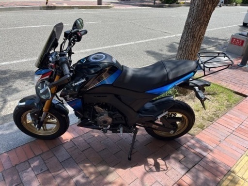 Kawasaki Z125 PRO Special Edition 特別限定仕様 カワサキ Z125 PROの