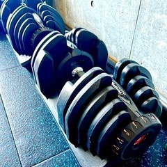 カーメイト エールベベ クルットプレミアム BF841【モノ市場 知立店】41