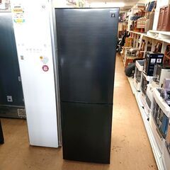 8/31SHARP 冷蔵庫 SJ-AK31F-B 310L 2020年製 2ドア