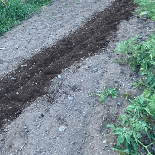 セル起動ディゼル耕運機保証付きヤンマーYTA500S動作品