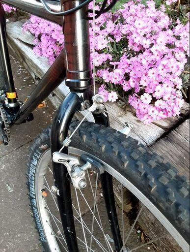 BRIDGESTONE ビンテージ・ブリヂストン・ワイルドウエストMTB