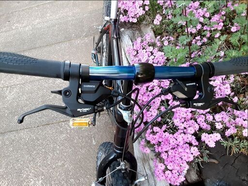 BRIDGESTONE ビンテージ・ブリヂストン・ワイルドウエストMTB