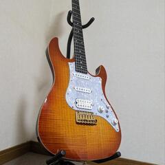 FUJIGEN EOS-FM-R/VV/06