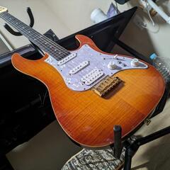 FUJIGEN EOS-FM-R/VV/06