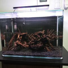 値下げ☆45センチ水槽フルセット 外部フィルター メガパワー6090 水槽