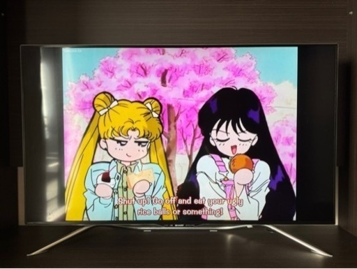 訳あり SHARP 液晶テレビ LC-50U20