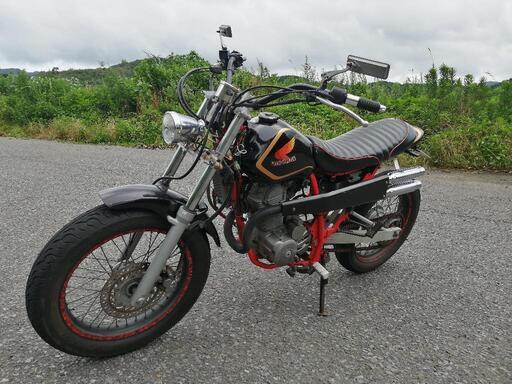 FTR223 トラッカー カスタム オイルクーラー アップマフラー シーケンシャルウィンカー