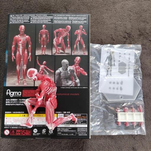 卓上  自立可能 人体模型 値段交渉可  figma  フィギュア おもちゃ