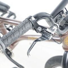 ARESBIKES 「アーレスバイク」 STN EX16 2016年モデル キッズBMX