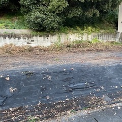 宅地跡の土　残土　黒土　埋立 