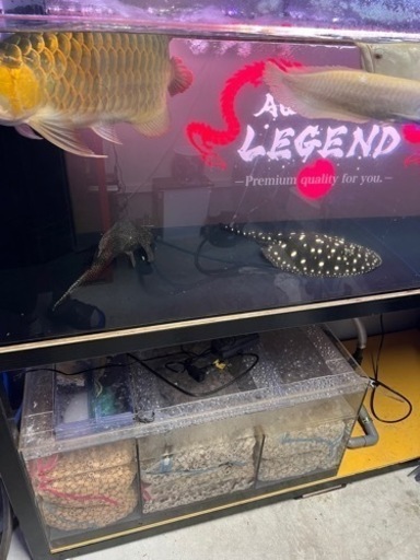 【決まりました\n】1800オーバーフロー水槽一式