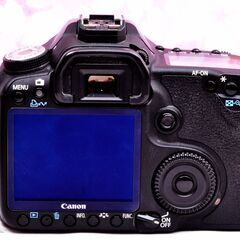 キャノン Canon EOS 50D☆スマホに転送♪☆最高のハイスペック機♪