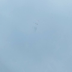 ♦️️ SHARPノンフロン冷凍冷蔵庫  【2017年製】SJ-W351C-S