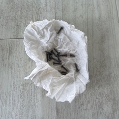 値段交渉あり！カメレオン　爬虫類　EXOTERRAゲージ　　