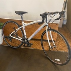 【LOUIS GARNEAU】ルイガノ　CR07