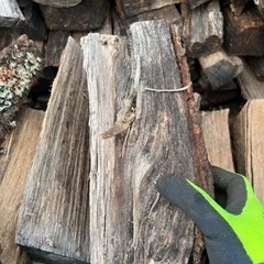 薪ストーブ　キャンプ用薪　薪