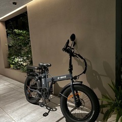 Electric Assisted Bicycle