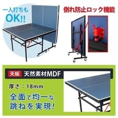 成約済み　卓球台　パフォーマンスギア（PG） 抗菌加工 国際規格サイズ 天板18mm セパレート式 キャスター付 