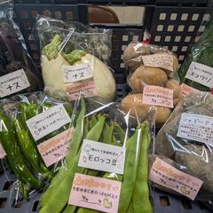 広島県東広島産の『季節の野菜セット』2kg詰め※受け渡し当日の朝...