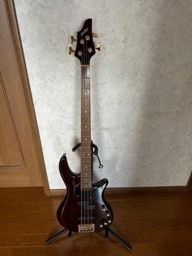 グラスルーツ　ベース