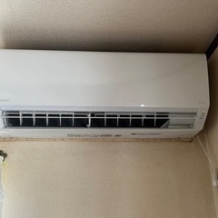 EcoFlow wave ポータブルクーラー