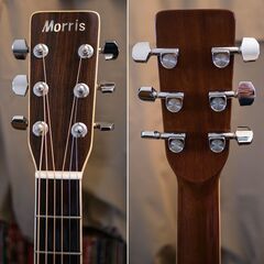 ↘MORRIS MD-511 80\