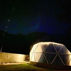 ☆超大型☆ 竹灯り 彩シリーズ 〜桜・蓮〜 竹灯籠 孟宗竹