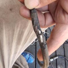 マキタのスライドマルノコです