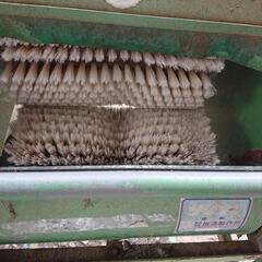 サシナミ根菜洗器