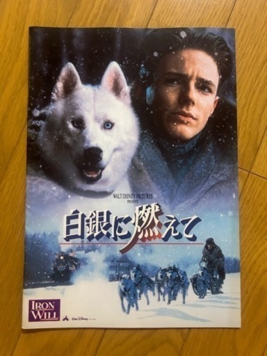 パンフレット　映画　昭和　希少　値段交渉可
