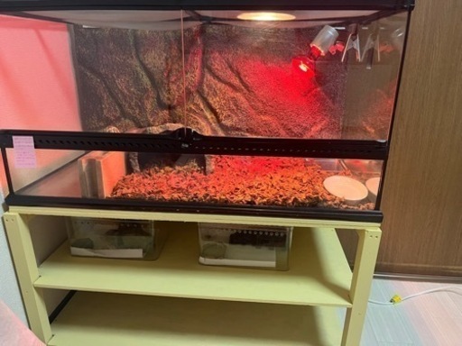 90センチ　爬虫類ケージ