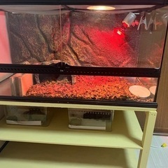 90センチ　爬虫類ケージ　　